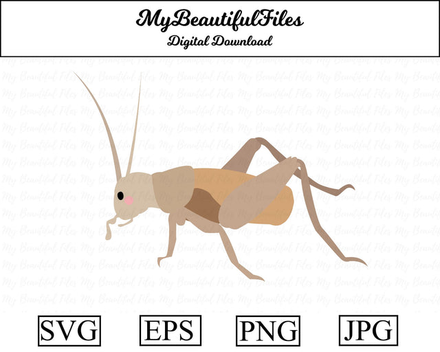 cricket - insect SVG MyBeautifulFiles 