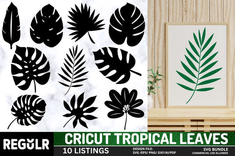 Cricut Tropical Leaves Svg Bundle SVG Regulrcrative 