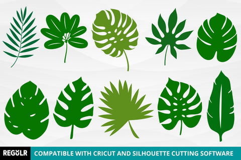 Cricut Tropical Leaves Svg Bundle SVG Regulrcrative 