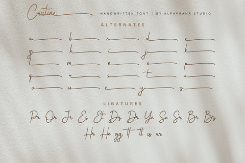 Cristine - Handwritten Font Font Alpaprana Studio 