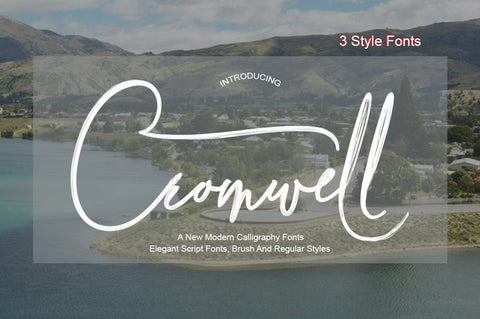 Cromwell 3 Fonts Font PolemStudio 