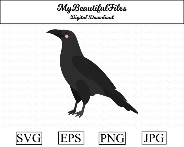 crow - animal SVG MyBeautifulFiles 