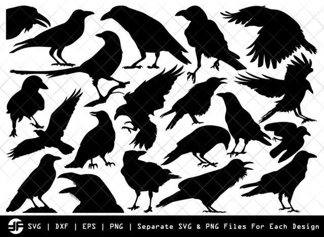 Crow SVG | Crow Bird Silhouette | Bird Bundle | SVG Cut File SVG ETC Craft 