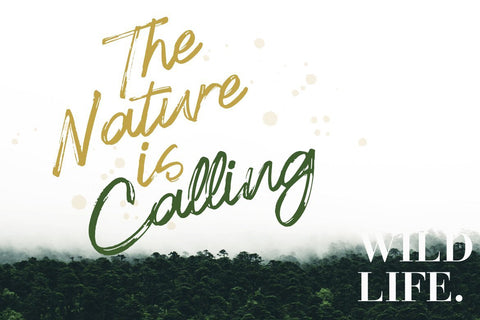 Crunchy Font Hans Co 