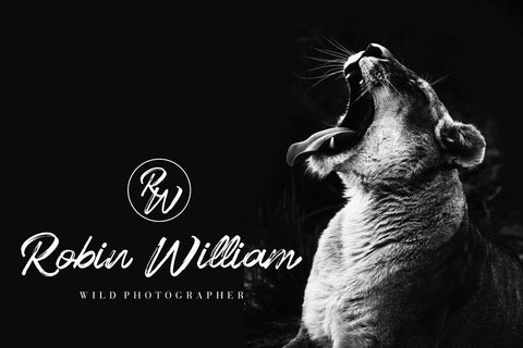 Crunchy Font Hans Co 