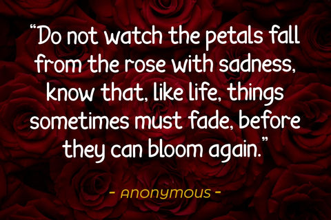 Cuizy | Handwritten Display Font twinletter 