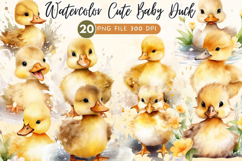 Cute Baby Duck Watercolor Bundle Sublimation Regulrcrative 