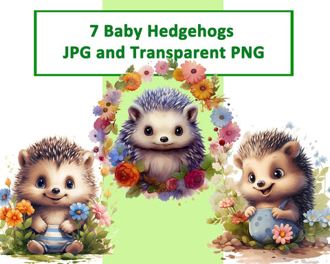Cute Baby Hedgehog Sublimation JPG PNG Sublimation nikola 