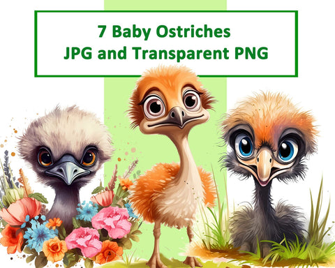 Cute Baby Ostrich Sublimation JPG PNG Sublimation nikola 