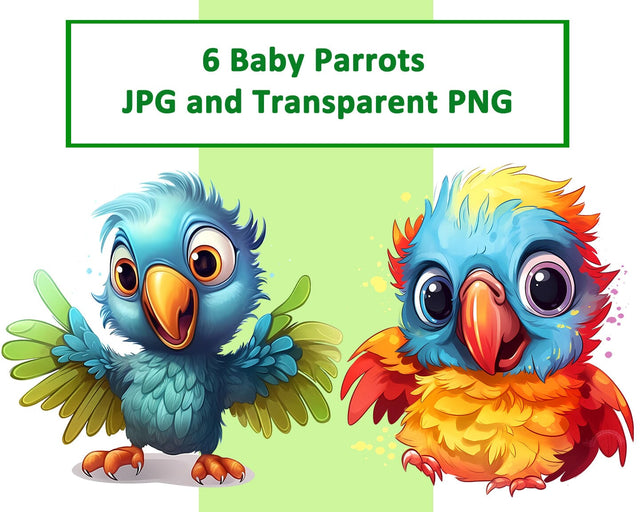 Cute Baby Parrot Sublimation JPG PNG Sublimation nikola 