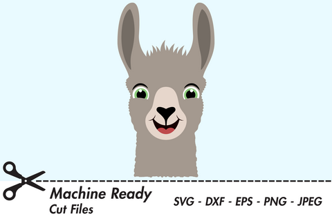 Cute Boy Llama Face | Farm SVG SVG Captain Creative 