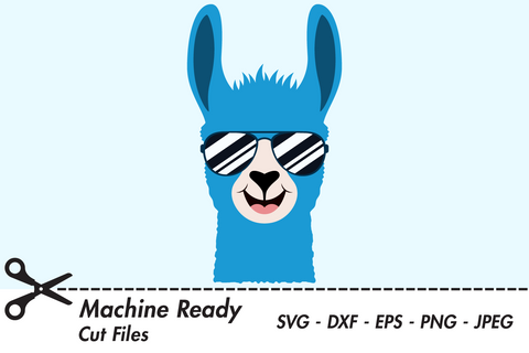 Cute Boy Llama Face With Shades | Farm SVG SVG Captain Creative 