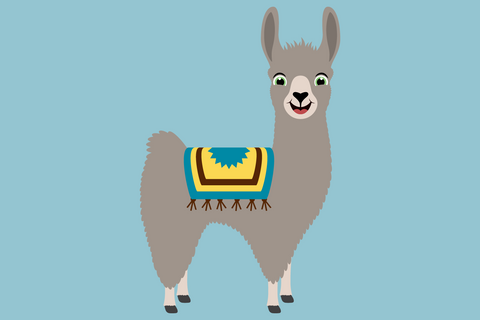 Cute Boy Llama With Cacti | Farm SVG SVG Captain Creative 