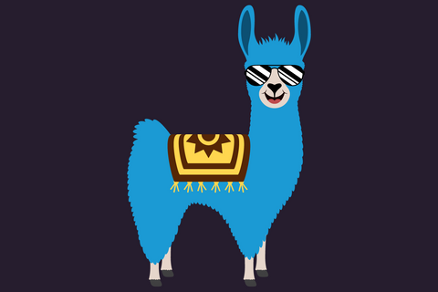 Cute Boy Llama With Shades And Cacti | Farm SVG SVG Captain Creative 