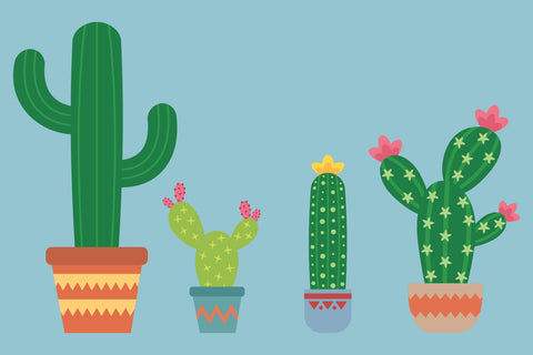 Cute Boy Llamas With Cacti | Farm SVG SVG Captain Creative 