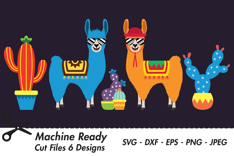 Cute Boy Llamas With Shades And Cacti | Farm SVG SVG Captain Creative 