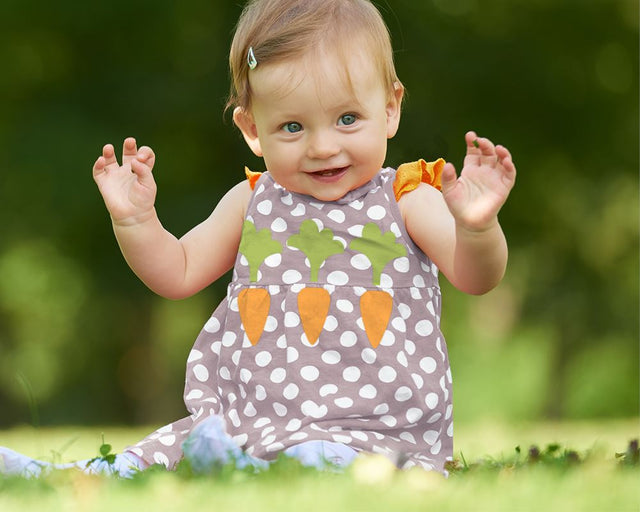 Cute Carrot SVG Designed by Geeks 