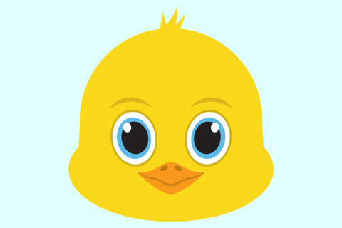 Cute Chick Face Bundle | Farm SVG SVG Captain Creative 