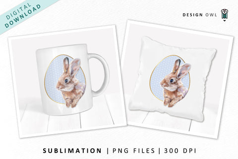 Cute Easter Bunny Sublimation PNG Sublimation Design Owl 