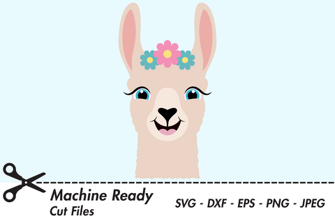 Cute Girl Llama Face | Farm SVG SVG Captain Creative 