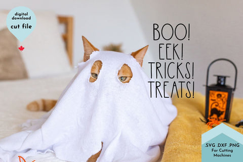 Cute Halloween Hand Lettered SVG Cut File SVG Lettershapes 