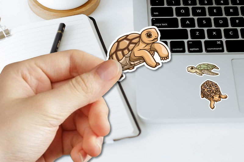 Cute Little Turtle sticker Clipart, Printable sticker - So Fontsy