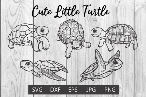 Cute Little turtle svg Clipart SVG dadan_pm 