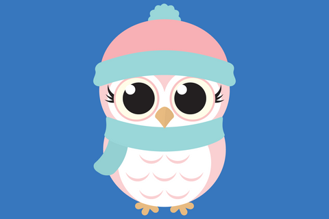 Cute Winter Owls With Snowflakes | Woodland Winter SVG SVG Captain Creative 