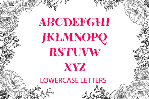 Cutest Curly Font Monogram Font Sintegra 