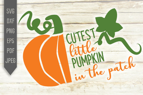 Cutest Little Pumpkin In The Patch Svg. Halloween Svg. Baby Girl Or Boy Halloween. Newborn Baby Svg. Pumpkin Shirt Kids. Cricut, Silhouette SVG Mint And Beer Creations 