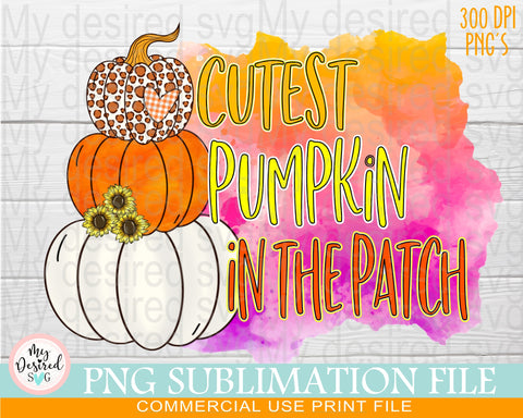 Cutest Pumpkin In The Patch PNG, Halloween Design, pumpkin hocus pocus, Pumpkin Design, Halloween png, Sublimation Designs Downloads Sublimation MyDesiredSVG 