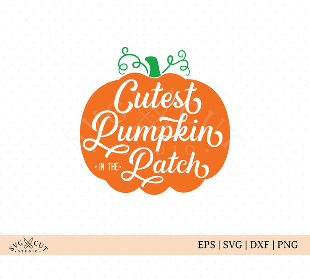 Cutest Pumpkin in the Patch SVG Cut Files SVG SVG Cut Studio 