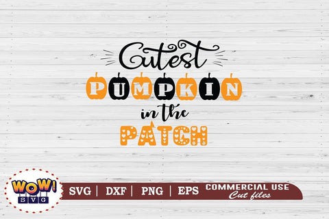 Cutest pumpkin in the patch svg, Cute boo svg, Halloween cutting files, pumpkin svg, Halloween svg, Halloween cricut files, Pumpkin harvest SVG Wowsvgstudio 