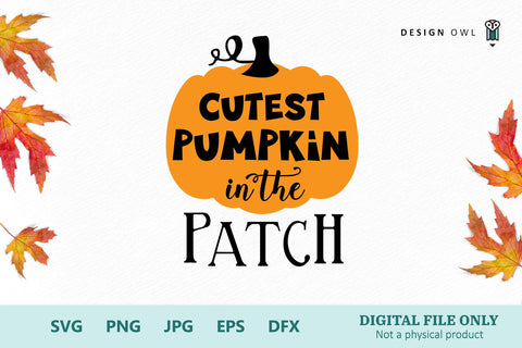 Cutest pumpkin in the patch SVG Design Owl 
