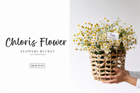 Cutie Angel Modern Handwritten Font Font Letterative 