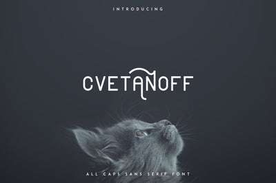 Cvetanoff Sans Serif font Font VPcreativeshop