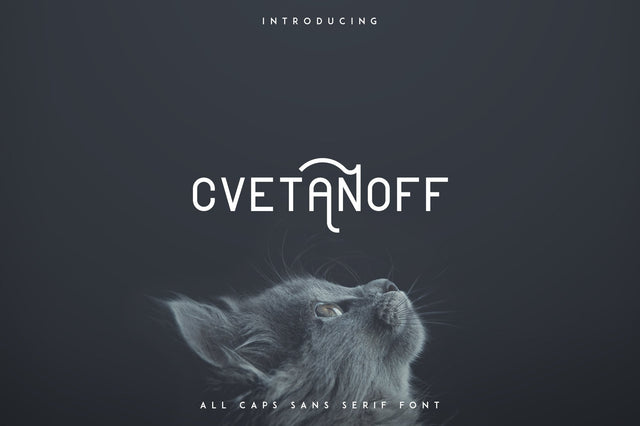 Cvetanoff Sans Serif font Font VPcreativeshop