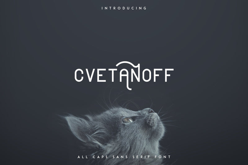 Cvetanoff Sans Serif font Font VPcreativeshop