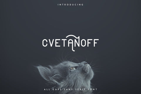 Cvetanoff Sans Serif font Font VPcreativeshop 