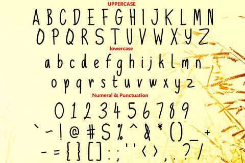 Cydro handwritten Font zafrans studio 