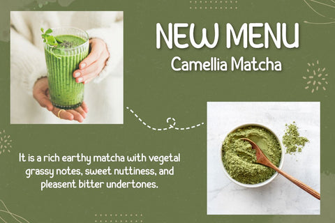 Cyhiru | Handwritten Display Font twinletter 