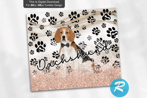 Dachshund dog 20 oz / 30 oz Tumbler PNG Sublimation Regulrcrative 