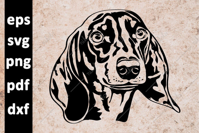 Dachshund Dog Cut File Clipart PNG SVG EPS DXF PDF SVG nikola 