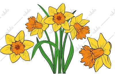 Daffodil Clipart Cut File PNG SVG EPS DXF PDF SVG nikola 