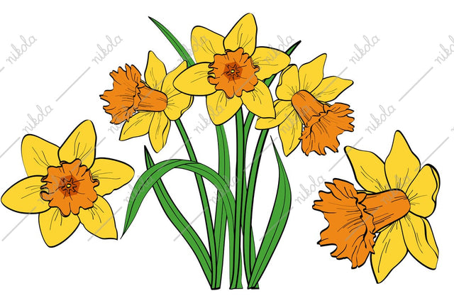 Daffodil Clipart Cut File PNG SVG EPS DXF PDF SVG nikola 