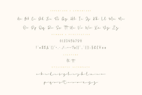 Dahlia - Modern Calligraphy Font Font Typobia 
