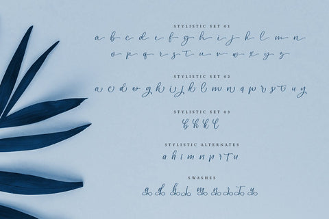 Dailova – Beautifull Script Font Good Java 