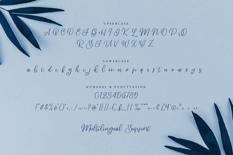 Dailova – Beautifull Script Font Good Java 