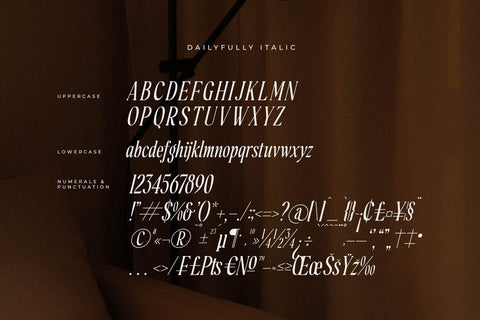 Dailyfully Typeface Font Storytype Studio 