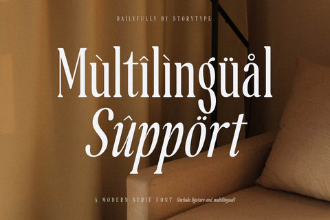 Dailyfully Typeface Font Storytype Studio 